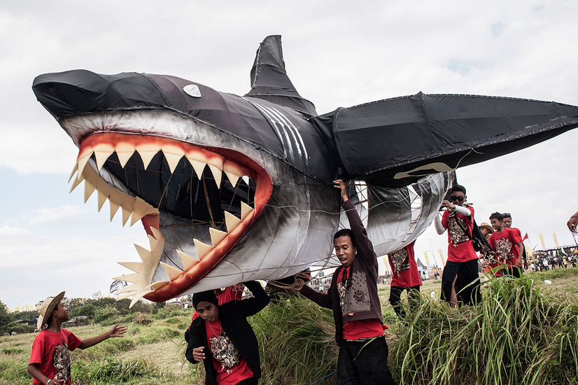 巨大なサメの凧も登場……Bali Kite Festival