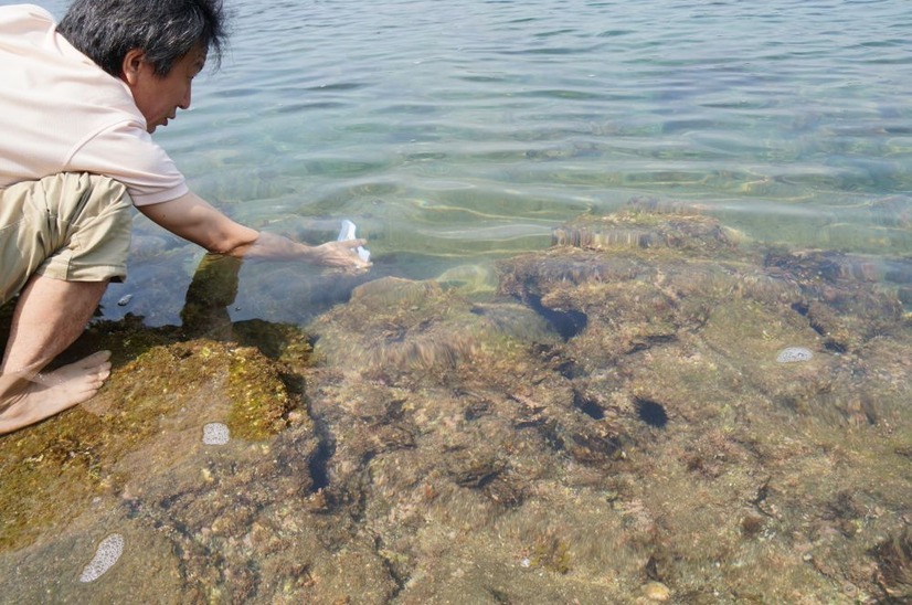 岩場の先に何かを発見！