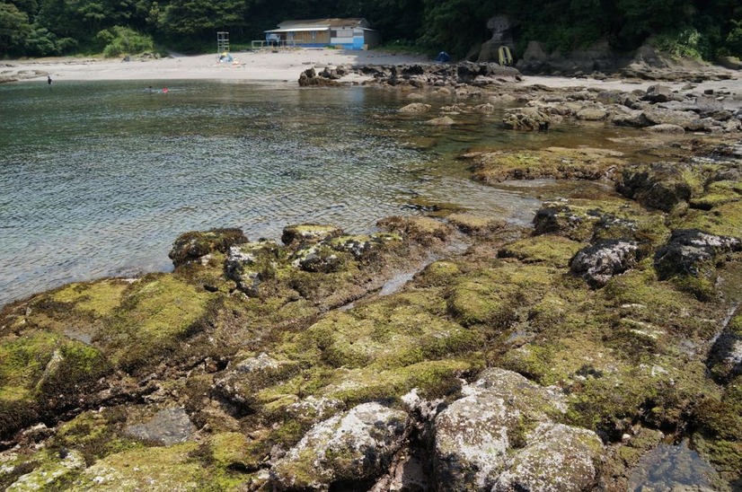 三浦海岸の岩場