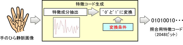 生体情報からの特徴コードの抽出