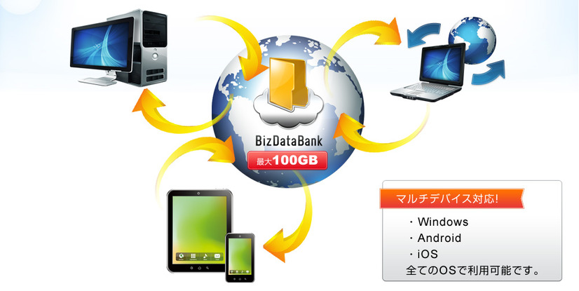 「BizDataBank(ビズデータバンク)」イメージ