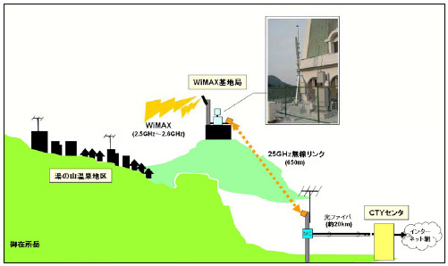 実験概要図