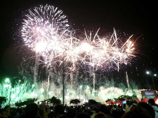 「第25回東京湾大華火祭」は明日10日午後6時50分より、東京・晴海で開催（写真はイメージ）