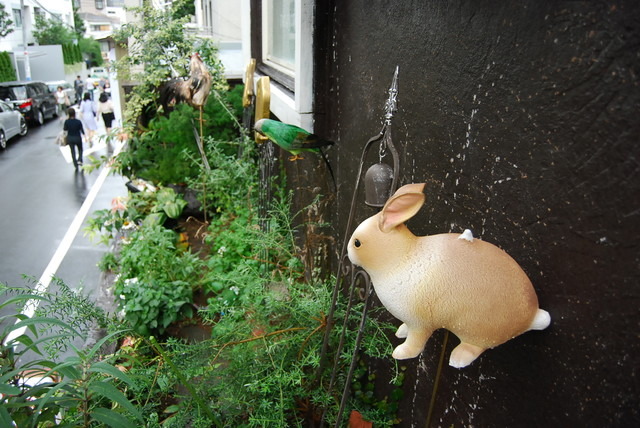 窓の外の植え込みには動物たちが遊ぶ