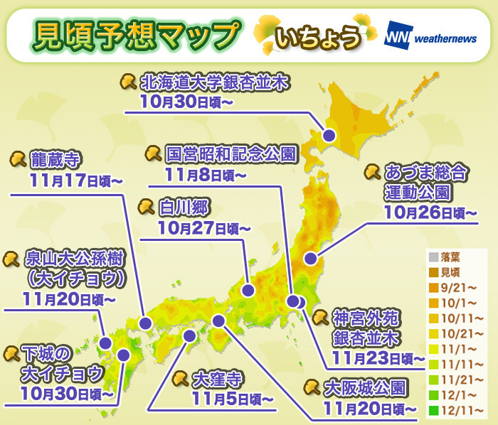 今年の紅葉、見頃予想マップ（いちょう）