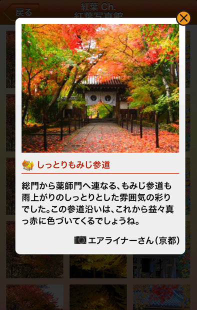 ユーザー同士で紅葉の写真や情報を共有できる