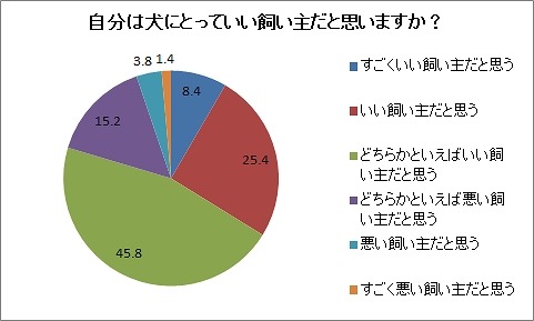 自分は犬にとっていい飼い主か