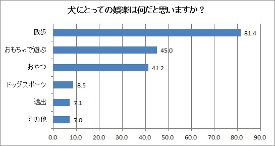 犬にとっての娯楽