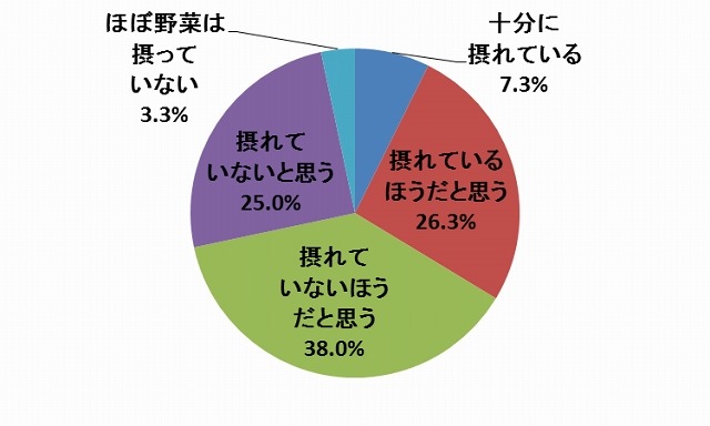 普段の食生活で野菜は十分に摂れていますか