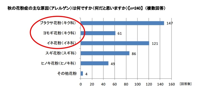 秋の花粉症の主な原因（アレルゲン）は何ですか