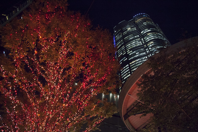 六本木ヒルズけやき坂のクリスマスイルミネーション