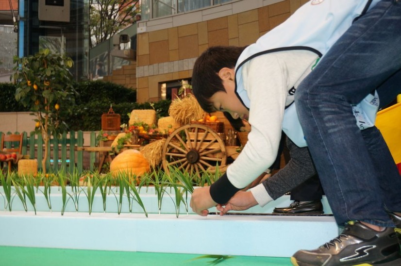 会場で行われた運動会「みのりんぴっく」、田植えの速さを競った。