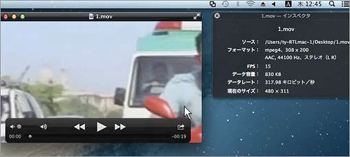 Mac OS X上では問題なく動画が再生される