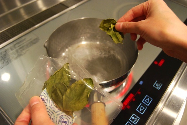 「トムヤムクン 手作りセット」に付属している、こぶみかんの葉。タイハーブの中でもメジャーな食材です。