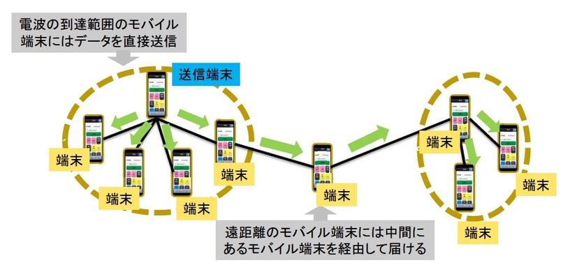 情報共有ネットワークのイメージ