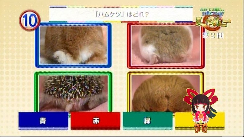 スマホで答えを選ぶと、テレビの画面のボタンにキャラクターが移動する