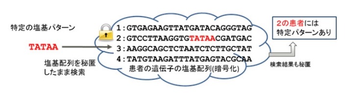 秘匿文字列検索技術のオーダーメイド医療への応用