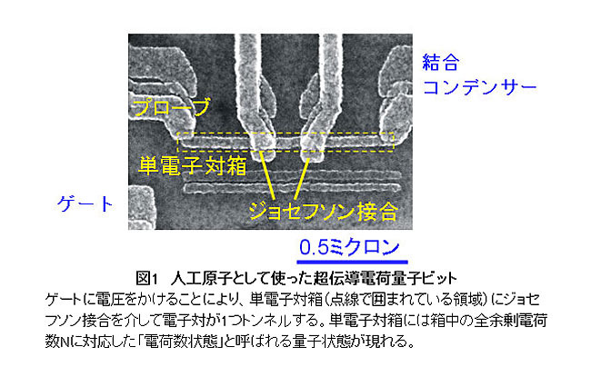 人工原子として使った超伝導電荷量子ビット