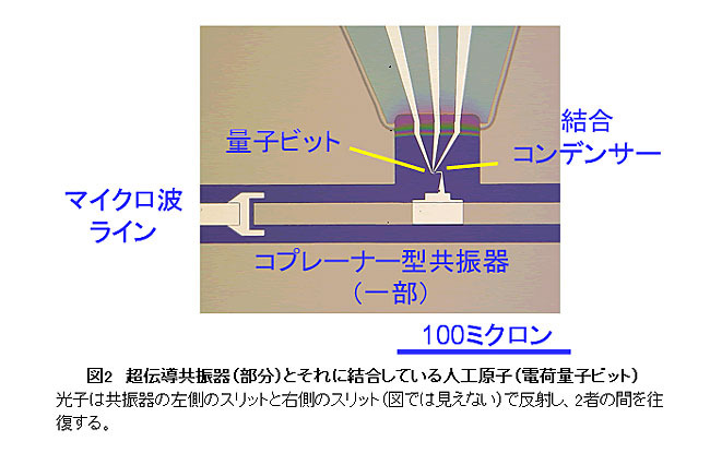 超伝導共振器（部分）とそれに結合している人工原子（電荷量子ビット）