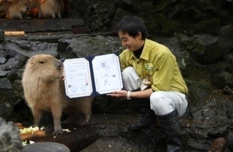 伊豆シャボテン公園 2013年の調印