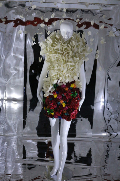 デイジーバルーンの作品
