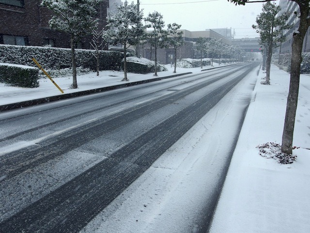 千葉県市川市（8日午前）