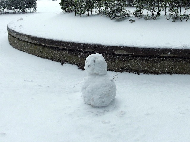 千葉県市川市（8日午前）