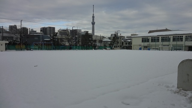 雪で足が遠のいたか