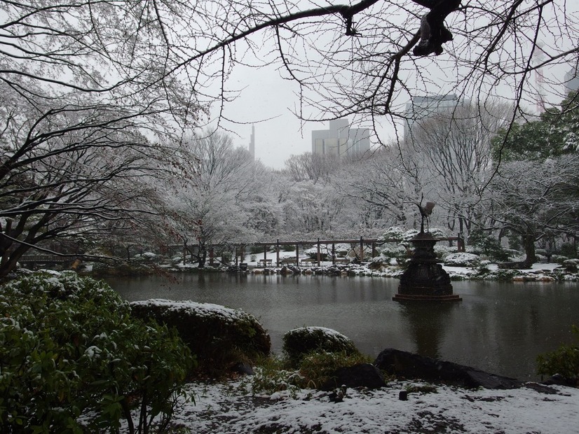 雪の東京（日比谷公園、2月14日昼）