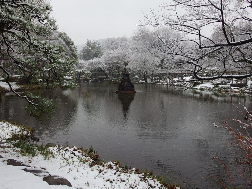 雪の東京（日比谷公園、2月14日昼）