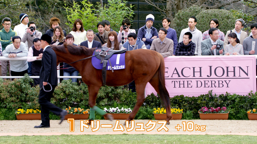 AKB小嶋陽菜のランジェリー姿CM第3弾！　今度は馬と……