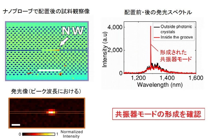 光ナノ共振器の形成を確認 