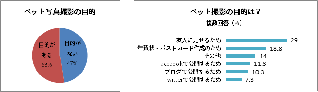 ペット撮影の目的は？