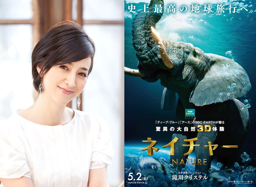 『ネイチャー』日本語ナレーション版ナビゲーターを務める滝川クリステル　(C)BBC Earth Productions (Africa) Limited and Reliance Prodco EK LLC 2014