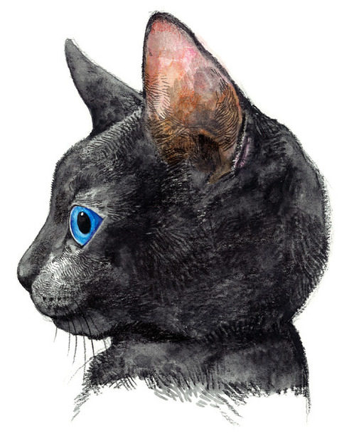 ヒグチユウコが描いた「メラントリック ヘムライト」の黒猫