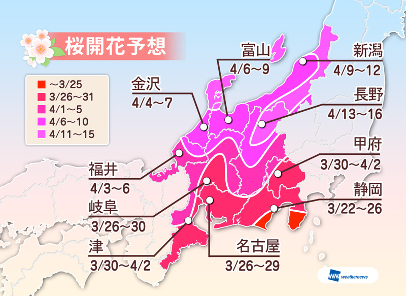 各地の桜開花予想（中部）