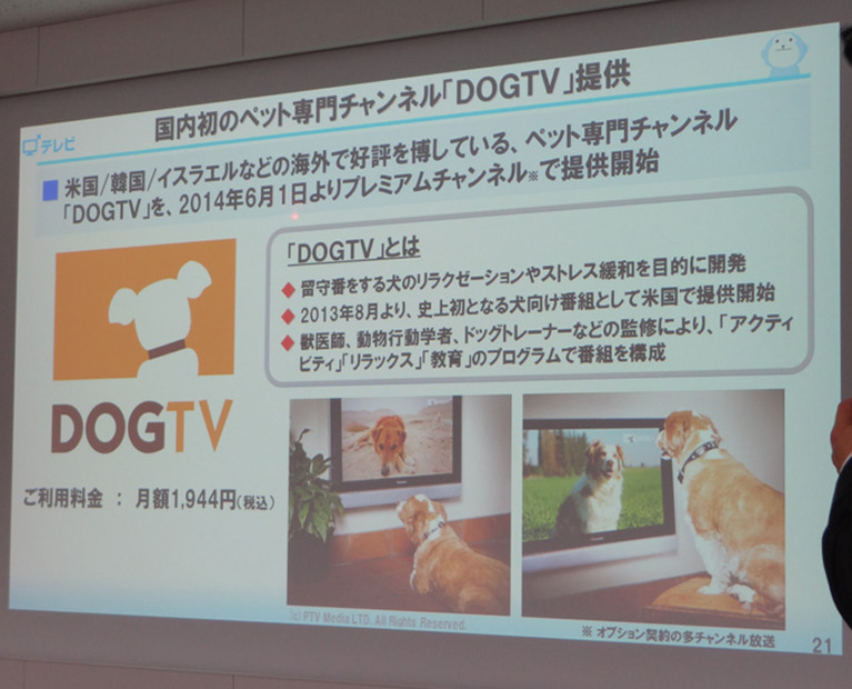 犬が楽しむチャンネル「DOGTV」