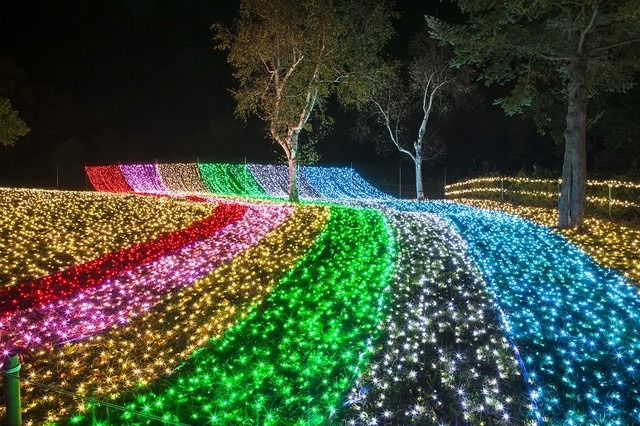 関東最大級のイルミネーションイベント、「さがみ湖イルミリオン」がオープン