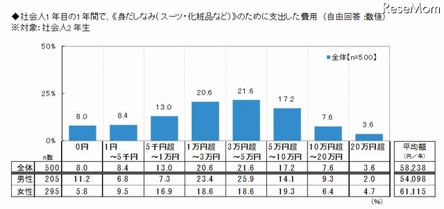 社会人1年目の1年間で仕事のために支出した費用