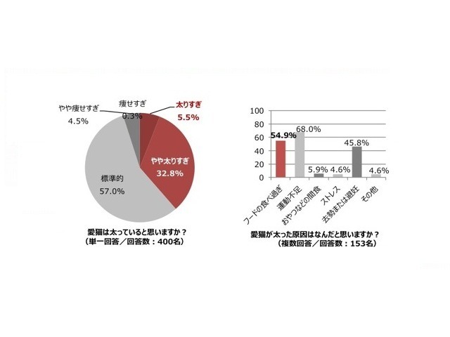 猫に関する意識調査