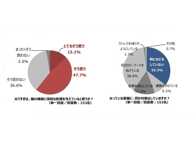 猫に関する意識調査