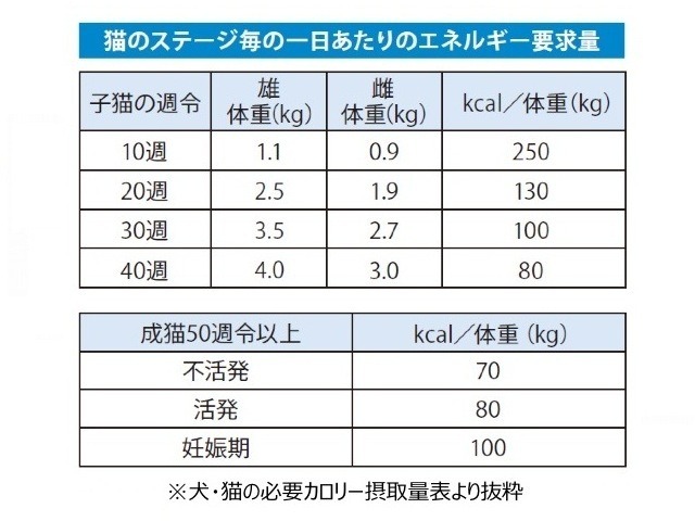 猫に関する意識調査