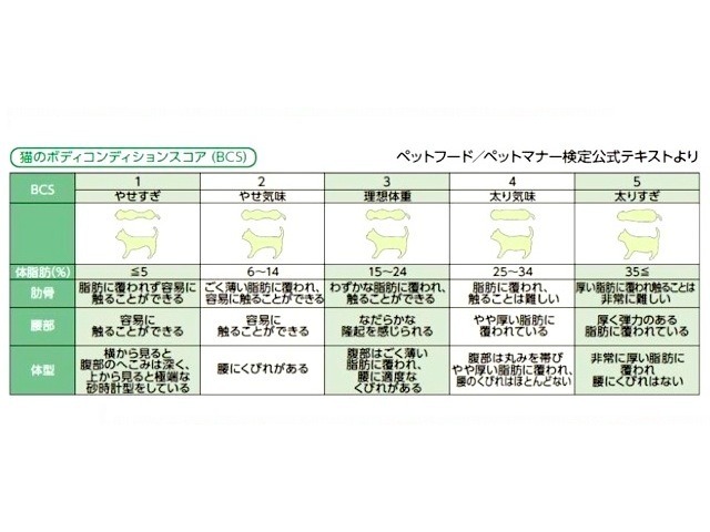 猫に関する意識調査