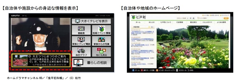 自治体情報のイメージ