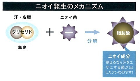 ニオイ発生のメカニズム
