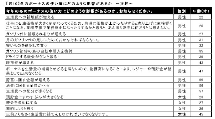 冬のボーナスの使い道にどのような影響があるか　〜抜粋〜