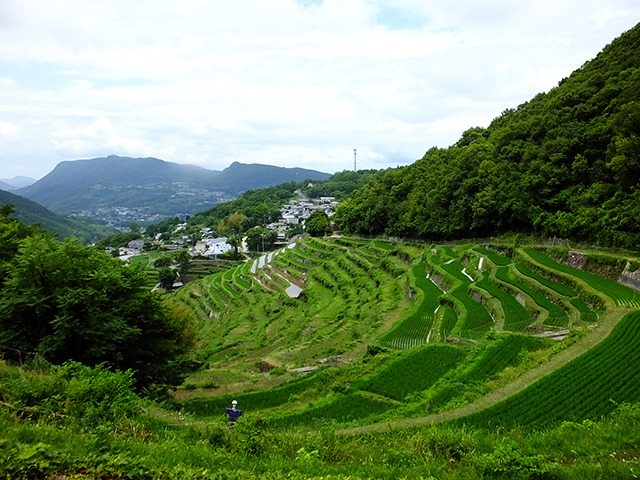 小豆島の「千枚田」。棚田の数は758枚