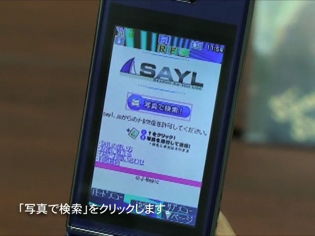 『SAYL』トップページ