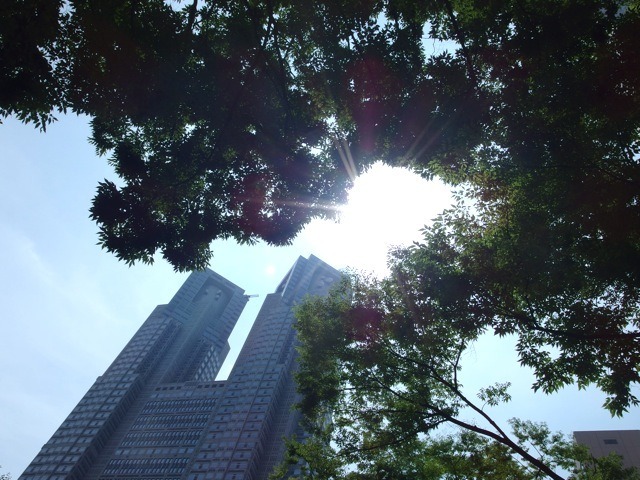 東京西新宿（7月22日）