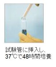 ミュータンス菌検査キット「デントカルトSM」の検査方法その4